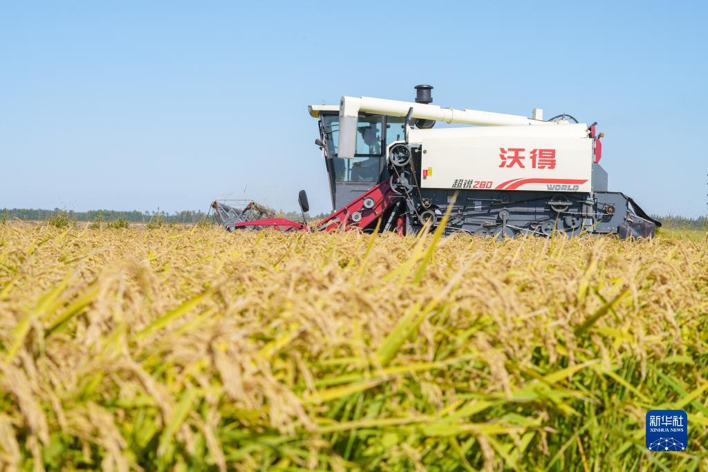 夺宝游戏大师